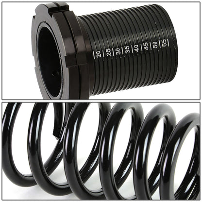 COILOVER 01-05 HONDA CIVIC - SCALE- BLACK SLEEVE / BLACK TOP / BLACK SPRING