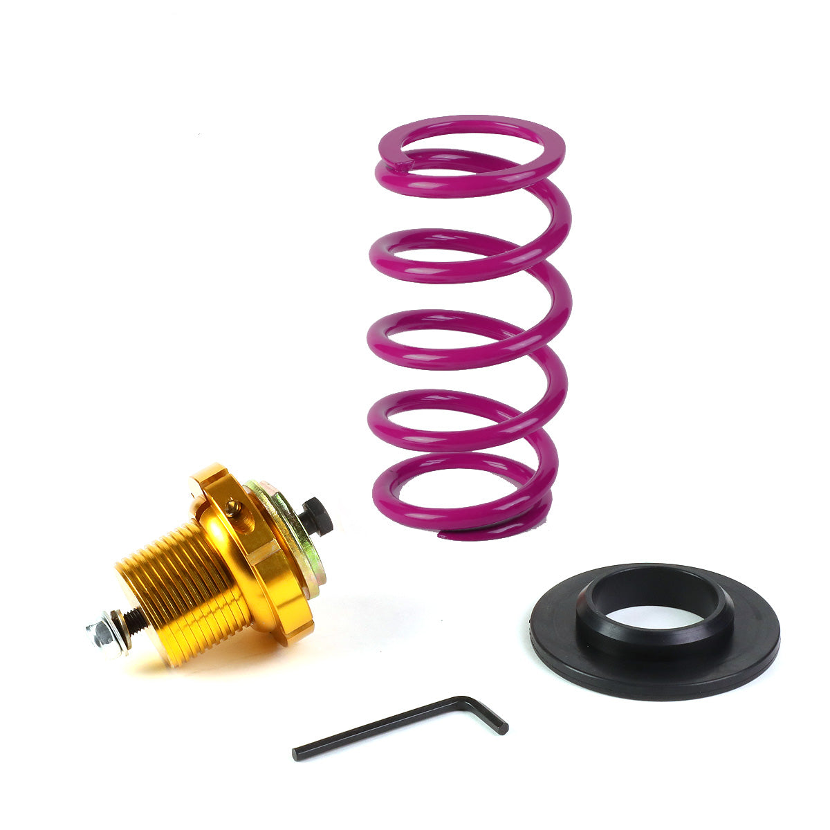 COILOVER 06-11 HONDA CIVIC - GOLD SLEEVE / GOLD TOP / PURPLE SPRING