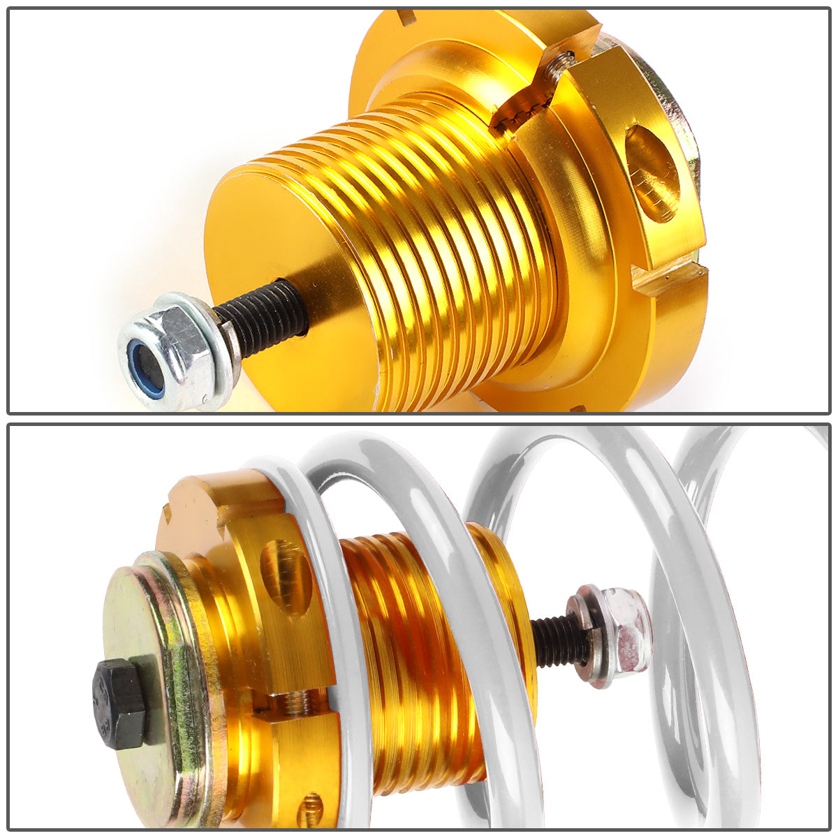 COILOVER 06-11 HONDA CIVIC - GOLD SLEEVE / GOLD TOP / WHITE SPRING