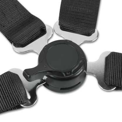 CINTURON DE SEGURIDAD 4PT - CAMLOCK - BLACK