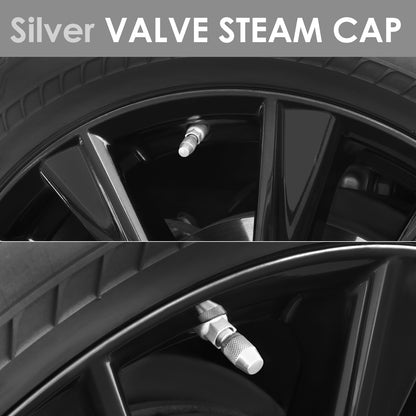 ACCESORIOS RT 007 - KNURLED - SILVER