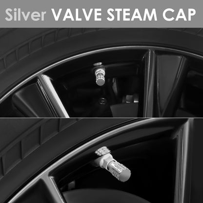 ACCESORIOS RT 046 - FULL CUT - SILVER